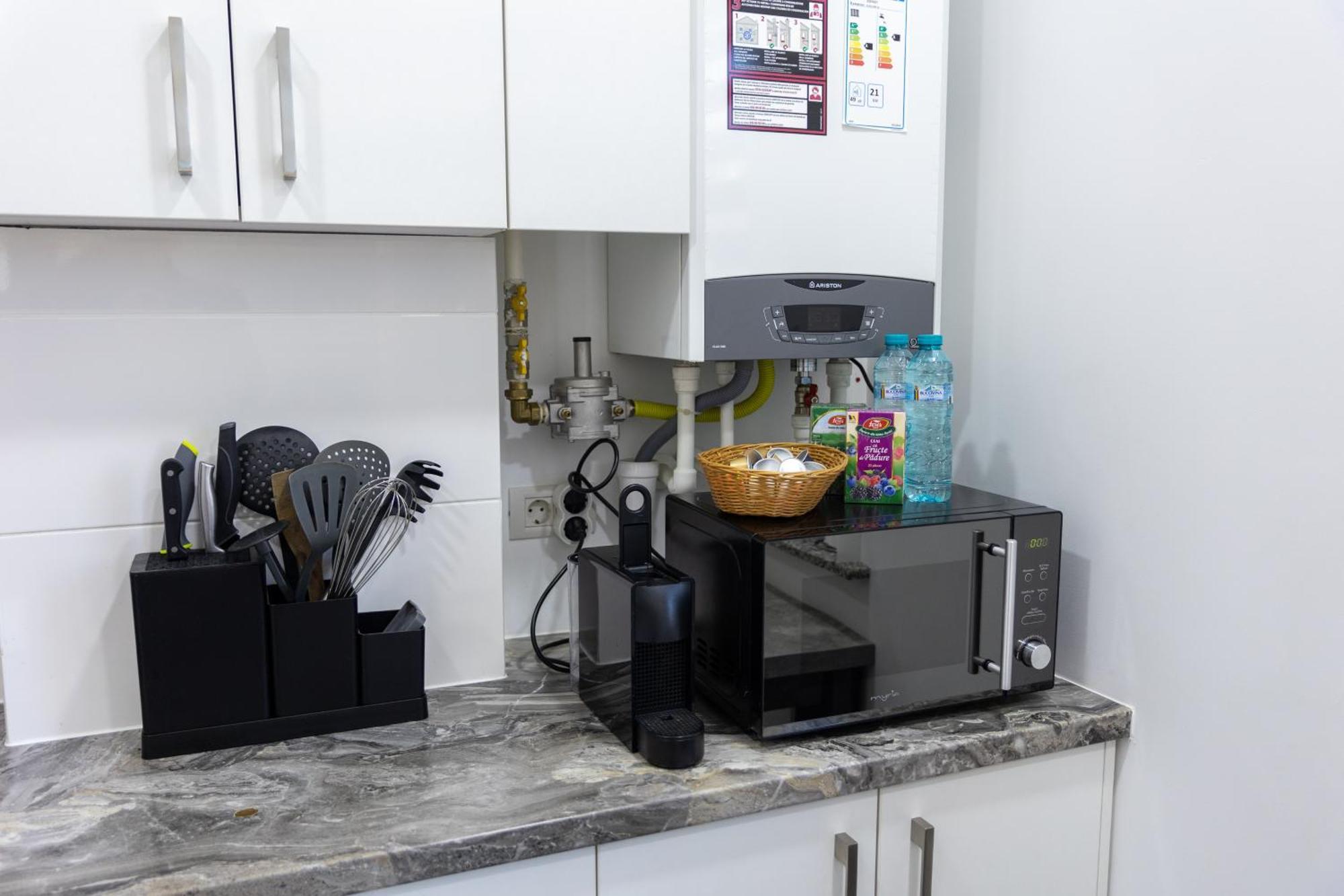 Astar Apartments - Extra Large Rădăuţi エクステリア 写真